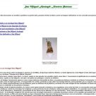 Sitio Web Año 2003