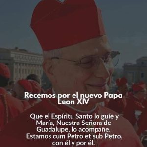 papa06